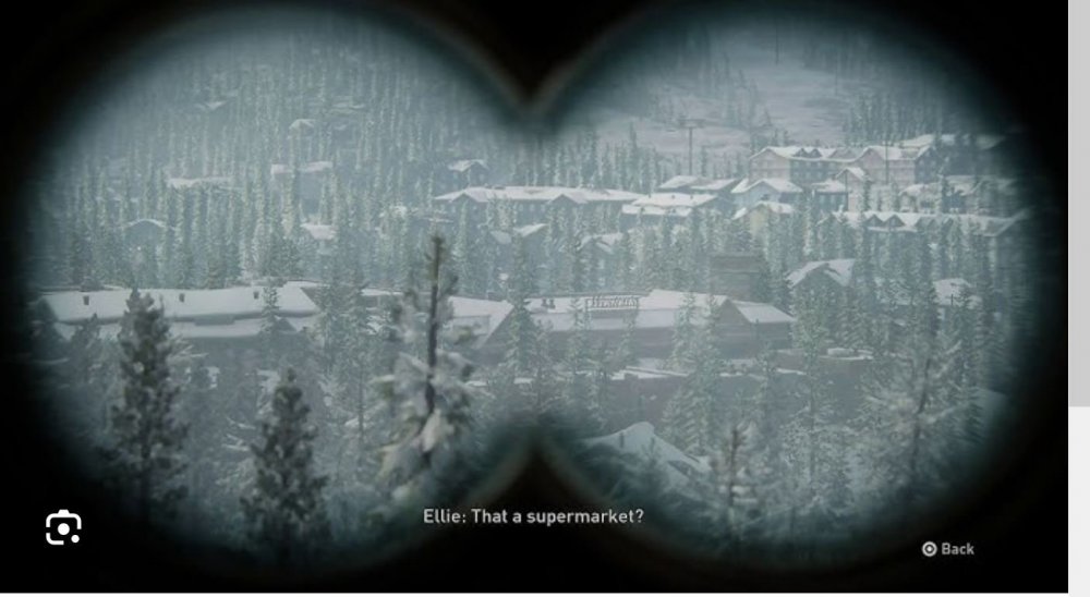 Figure 8 Bino View.JPG