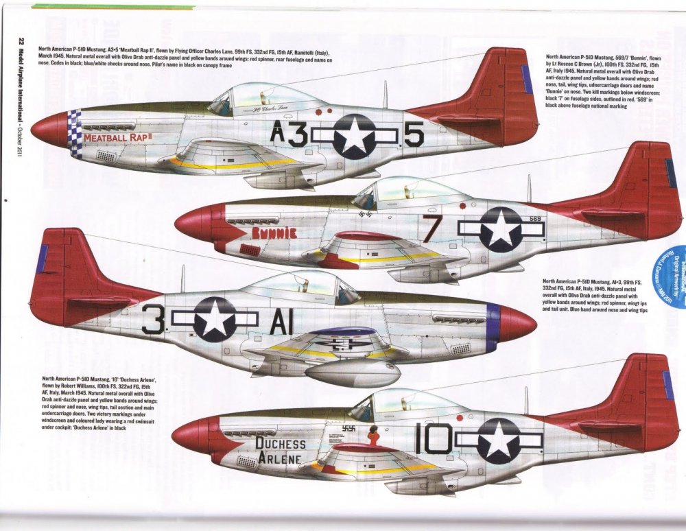 MI Tuskeegee Profile 1.jpg