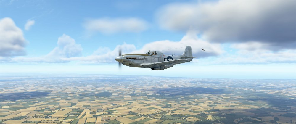 P51.jpg
