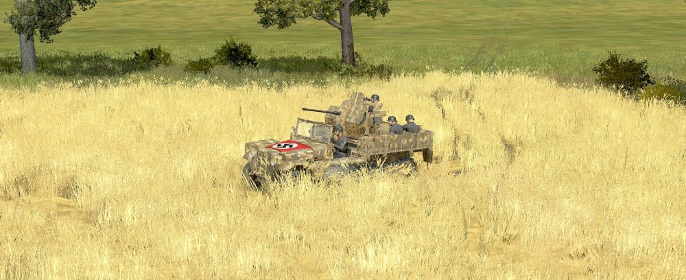 PzKpfw_IV_German_NN_SCG_summer_R_N3.JPG