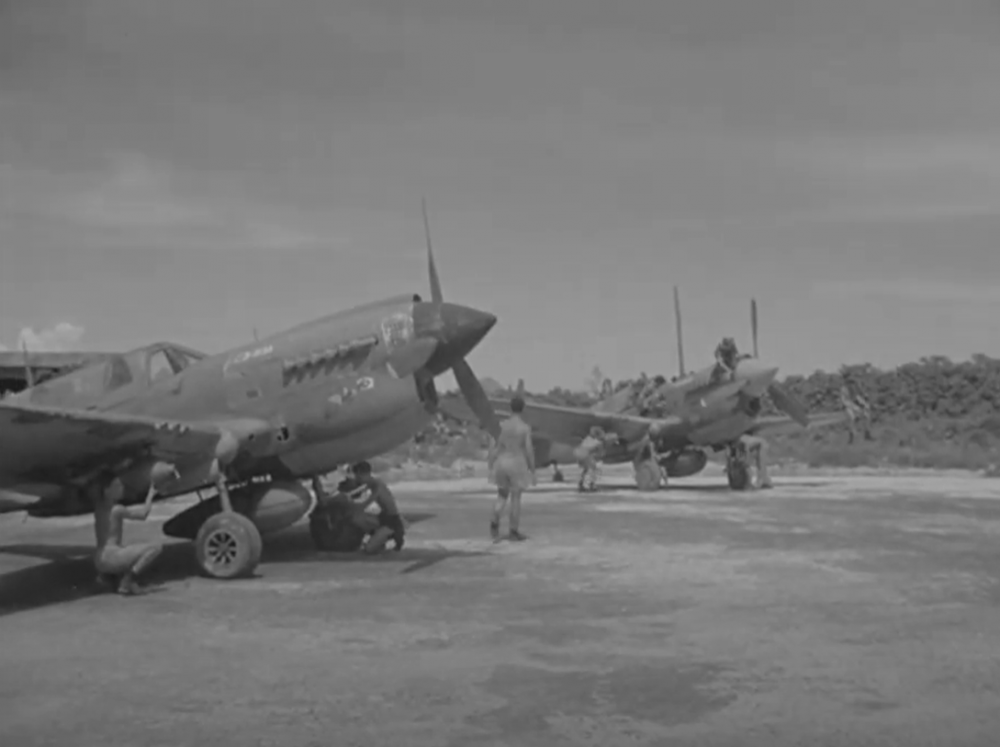 P-40's 120 NEI Biak.png