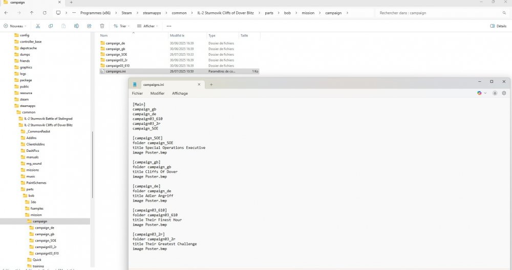 campaign pour SOE.jpg