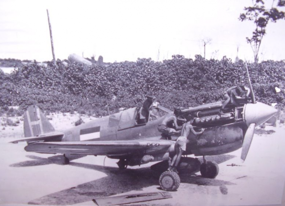 P-40 Dutch New Guinea.png