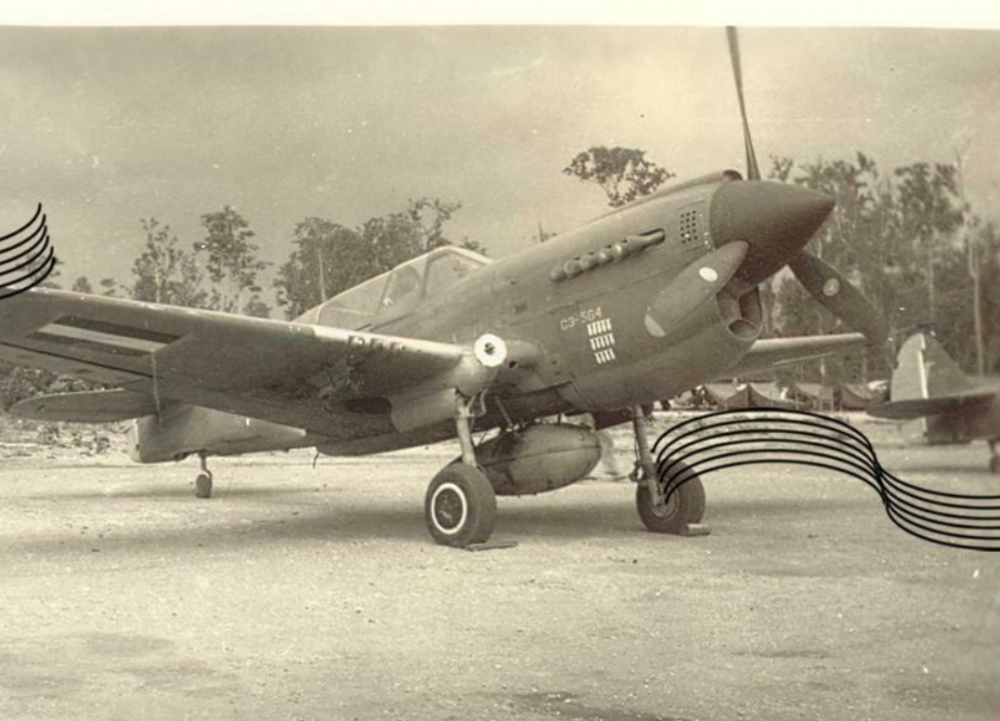 P-40 Sqn 120 NEI.png