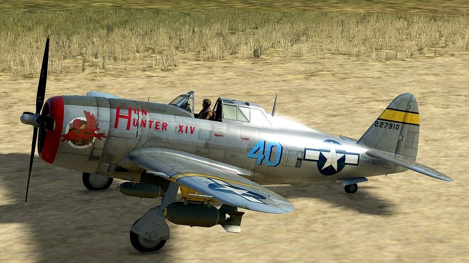 P-47D-22_HunHunterXIV_JJ-X.jpg.d06784f27be22a921614babf51c046d0.jpg