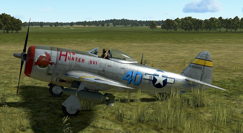 P47D-28_HunHunter_XVI_jj_X.jpg.bb98932ff111c79347c112db8662578e.jpg