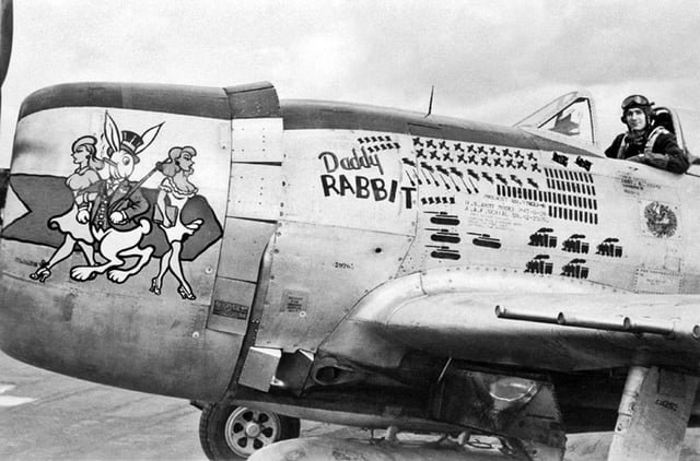 p-47-thunderbolt-daddy-rabbit-with-an-impressive-collection-v0-s9gk22mhyz5d1.jpg.e9dd02299c891f60bad9ec35fde57b94.jpg