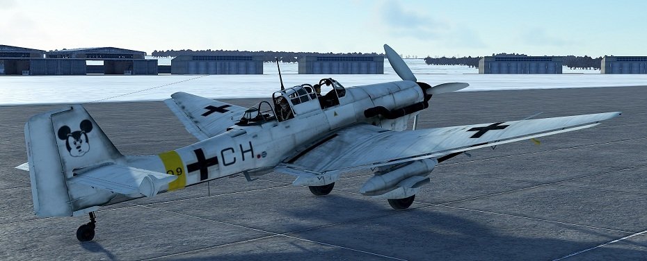 Ju87D-5_SG5_Q9CH_mouse_JJ_X.jpg.558b92b8a072d613460d2940f2c548aa.jpg