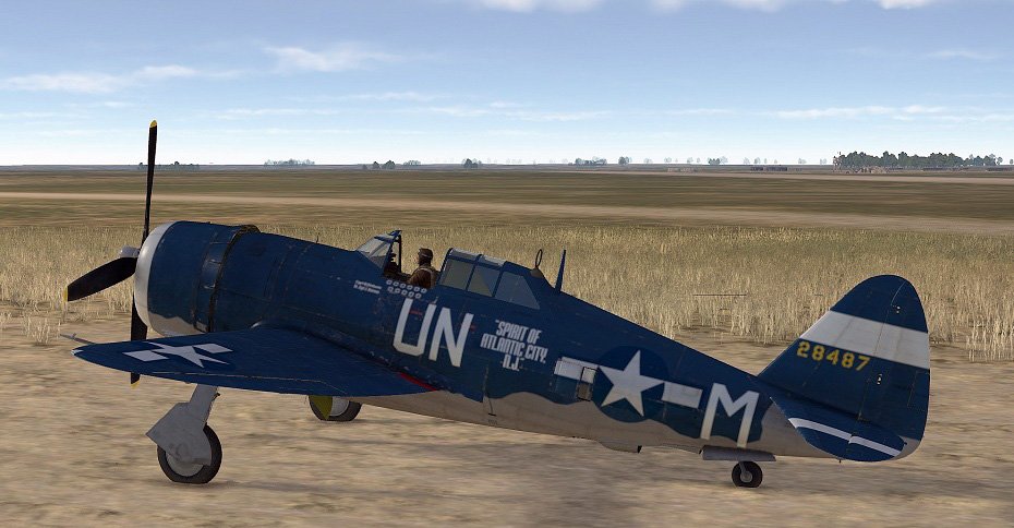 P-47D-22_UN_M_X_JJ.jpg.bc5e9ee8328d96ab46b4c463fd544d42.jpg