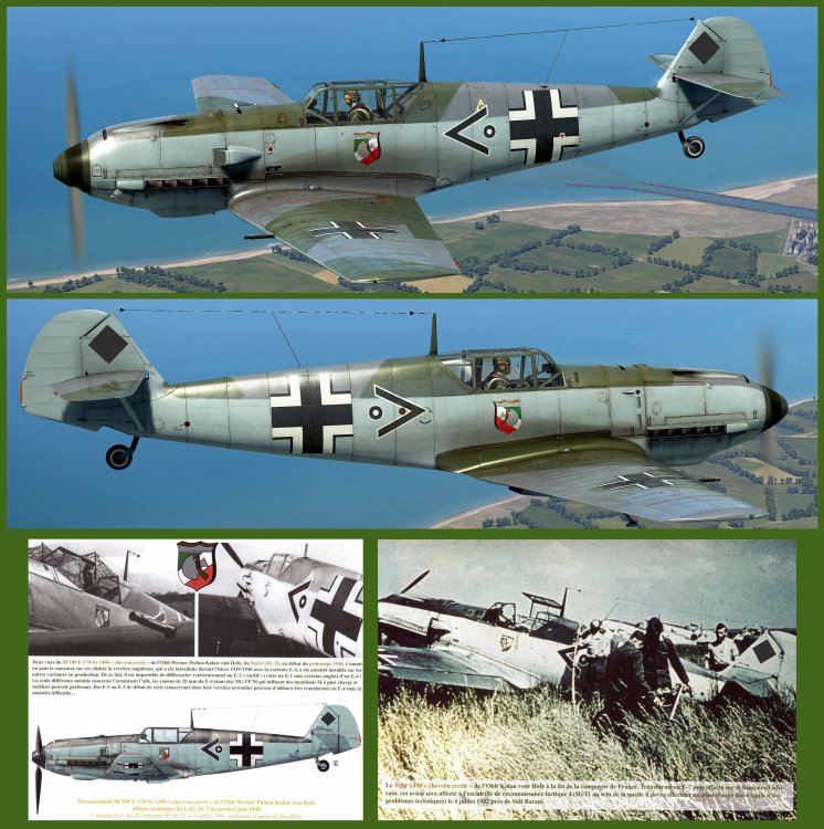 Pubblicazione Bf109E-4 Werner Pichon Kalau von Hofe 7 JG 51.jpg
