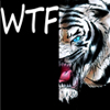 WT_Flan