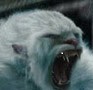WhiteYeti