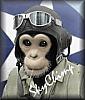 Skychimp
