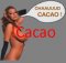 NNFFL=CacaO