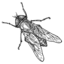 Gadfly