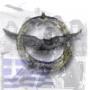 HSqn_Swaty