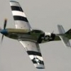 Mustang_45