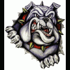 NastyDog