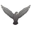 SKY-RAVEN
