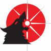 //1ST//SKYWOLF