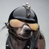 SpikeHelmut