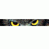 EagleEye