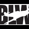 =BLW=Bullet