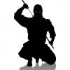 TWC_NINja