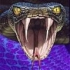Boomslang