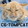 C6C6_Tompcat