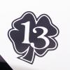 No_13