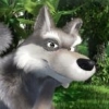 Wolf_just_wolf