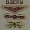-805-DNA-Decay