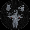 NefariousFox