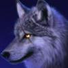 20thBG_Grey_Wolf