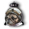SYN_LennysCopilot