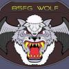 85FG_WolfHellllman1966