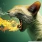 Cat_Astrophe