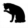 BlackTangoCat