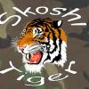 Skoshi_Tiger
