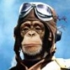 gorillacakes